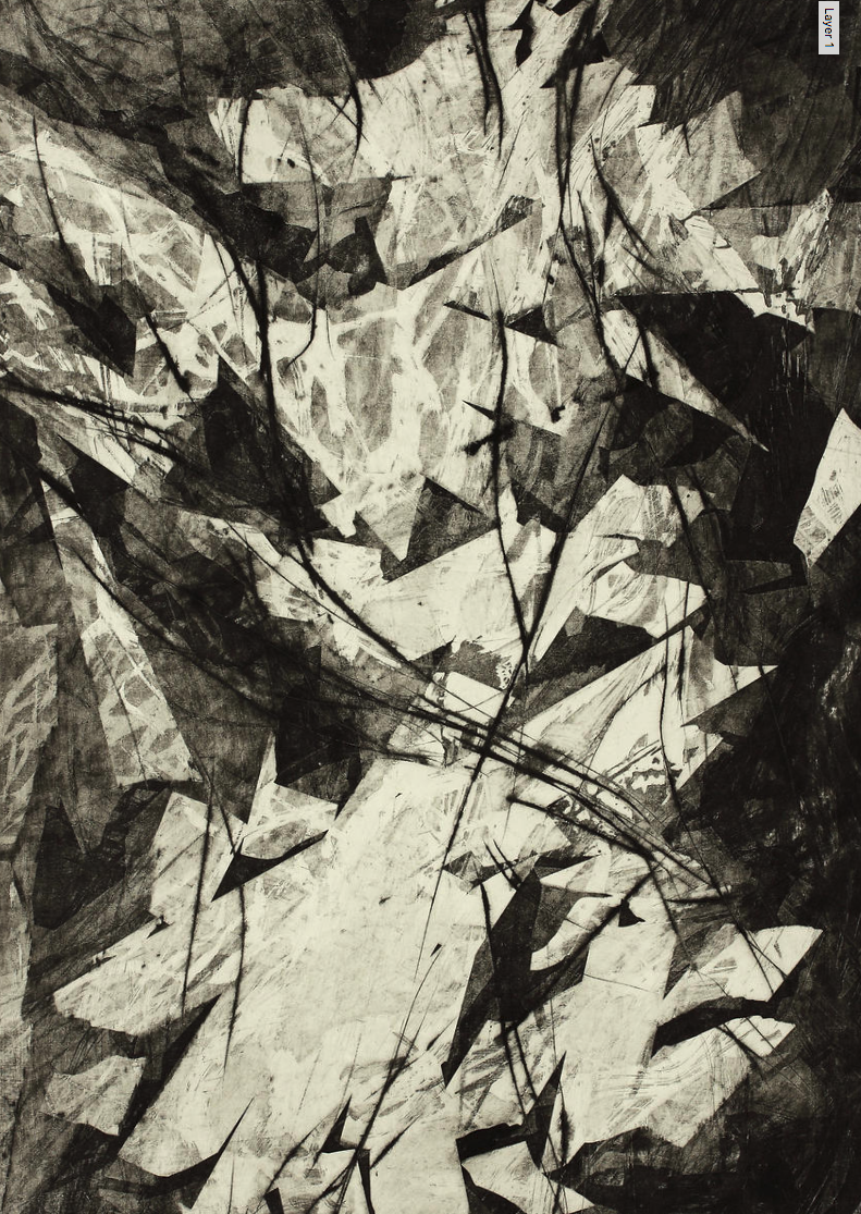 Schlucht 2016 Radierung Kerstin Franke Gneuß 88,6 x 54,6 cm